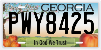 GA license plate PWY8425