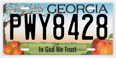 GA license plate PWY8428