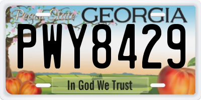 GA license plate PWY8429