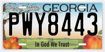 GA license plate PWY8443