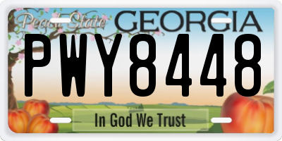 GA license plate PWY8448