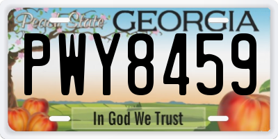 GA license plate PWY8459