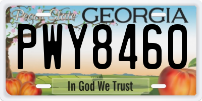 GA license plate PWY8460