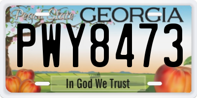 GA license plate PWY8473