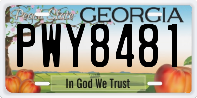 GA license plate PWY8481