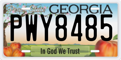 GA license plate PWY8485