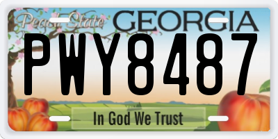 GA license plate PWY8487