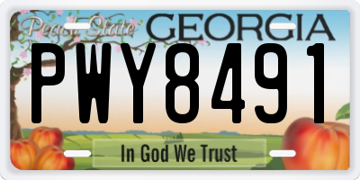 GA license plate PWY8491