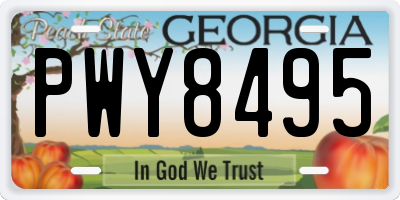 GA license plate PWY8495