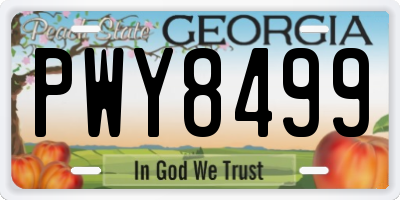 GA license plate PWY8499