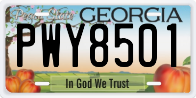 GA license plate PWY8501