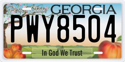 GA license plate PWY8504