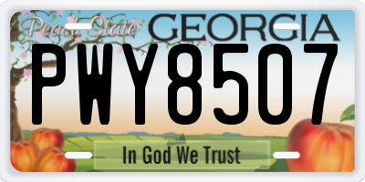 GA license plate PWY8507