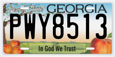 GA license plate PWY8513