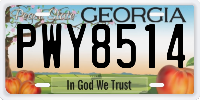 GA license plate PWY8514