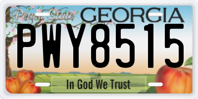 GA license plate PWY8515