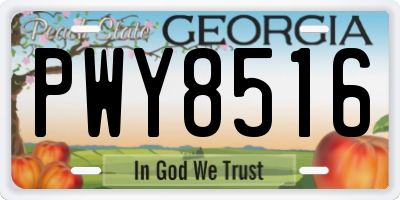 GA license plate PWY8516