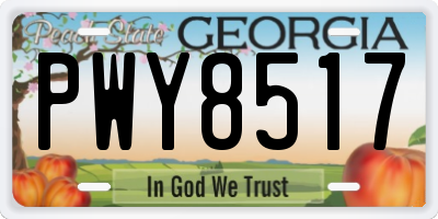GA license plate PWY8517