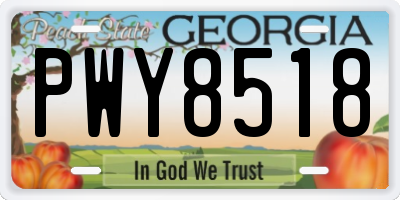 GA license plate PWY8518