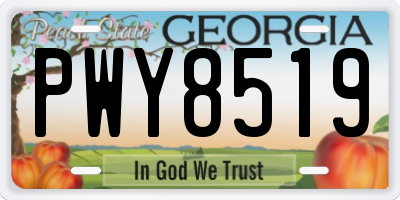 GA license plate PWY8519
