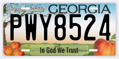 GA license plate PWY8524