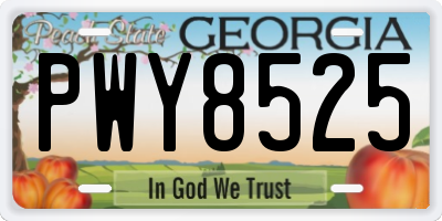 GA license plate PWY8525