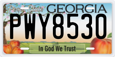GA license plate PWY8530