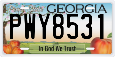 GA license plate PWY8531