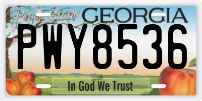 GA license plate PWY8536