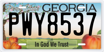 GA license plate PWY8537