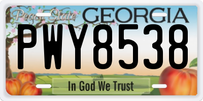 GA license plate PWY8538