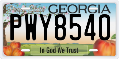 GA license plate PWY8540