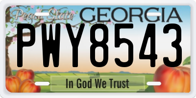 GA license plate PWY8543