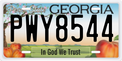 GA license plate PWY8544