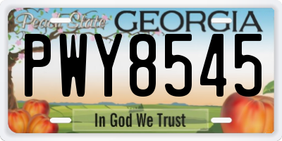 GA license plate PWY8545