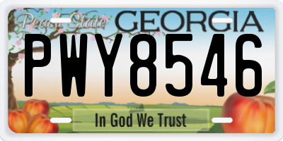 GA license plate PWY8546