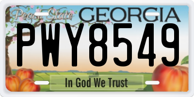 GA license plate PWY8549