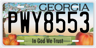 GA license plate PWY8553