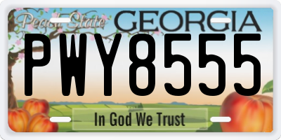 GA license plate PWY8555