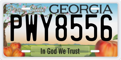 GA license plate PWY8556