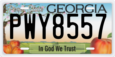 GA license plate PWY8557