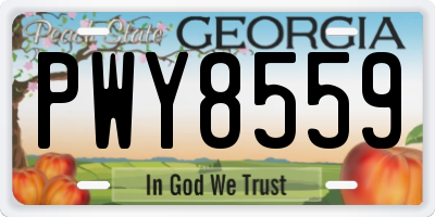 GA license plate PWY8559