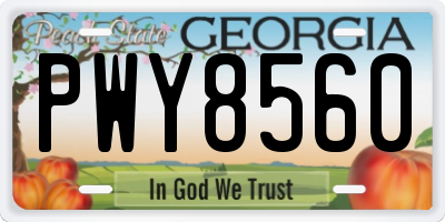 GA license plate PWY8560
