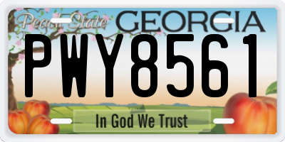GA license plate PWY8561
