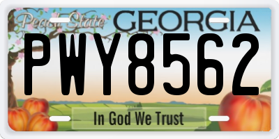 GA license plate PWY8562