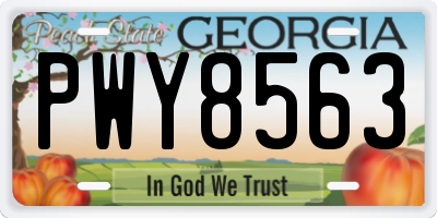 GA license plate PWY8563