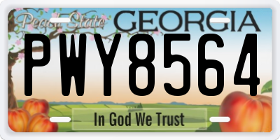 GA license plate PWY8564