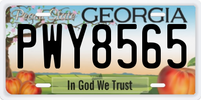 GA license plate PWY8565