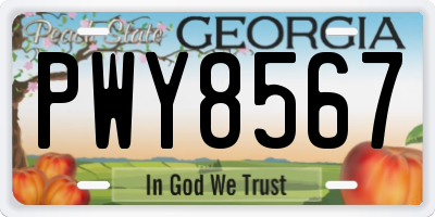 GA license plate PWY8567