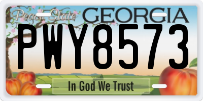 GA license plate PWY8573